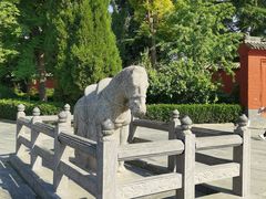 -洛阳白马寺