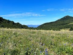 -白草畔自然风景区