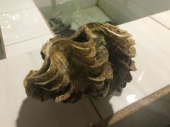 -海盗餐厅