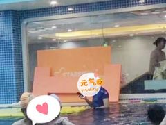 -戊辰亲子游泳俱乐部