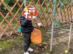 -迪茵湖田家舍生态农场