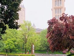 -上海浦东星河湾酒店