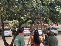 -满記土窑烧鷄波浪山莊