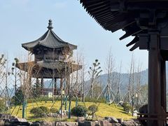 -东钱湖小普陀景区