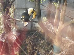 -武汉动物园