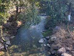 -白马涧龙池景区