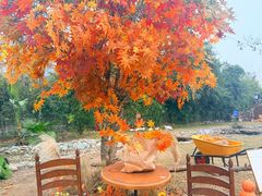 -HERRE·FARM 赫尔露营农场·团建聚会包场