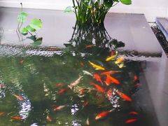 -普吉岛卡塔阿维斯塔诺富特酒店度假村