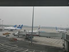 -郑州新郑国际机场