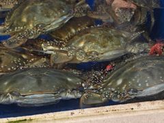 -小铜锣湾海鲜家常菜馆(河西店)