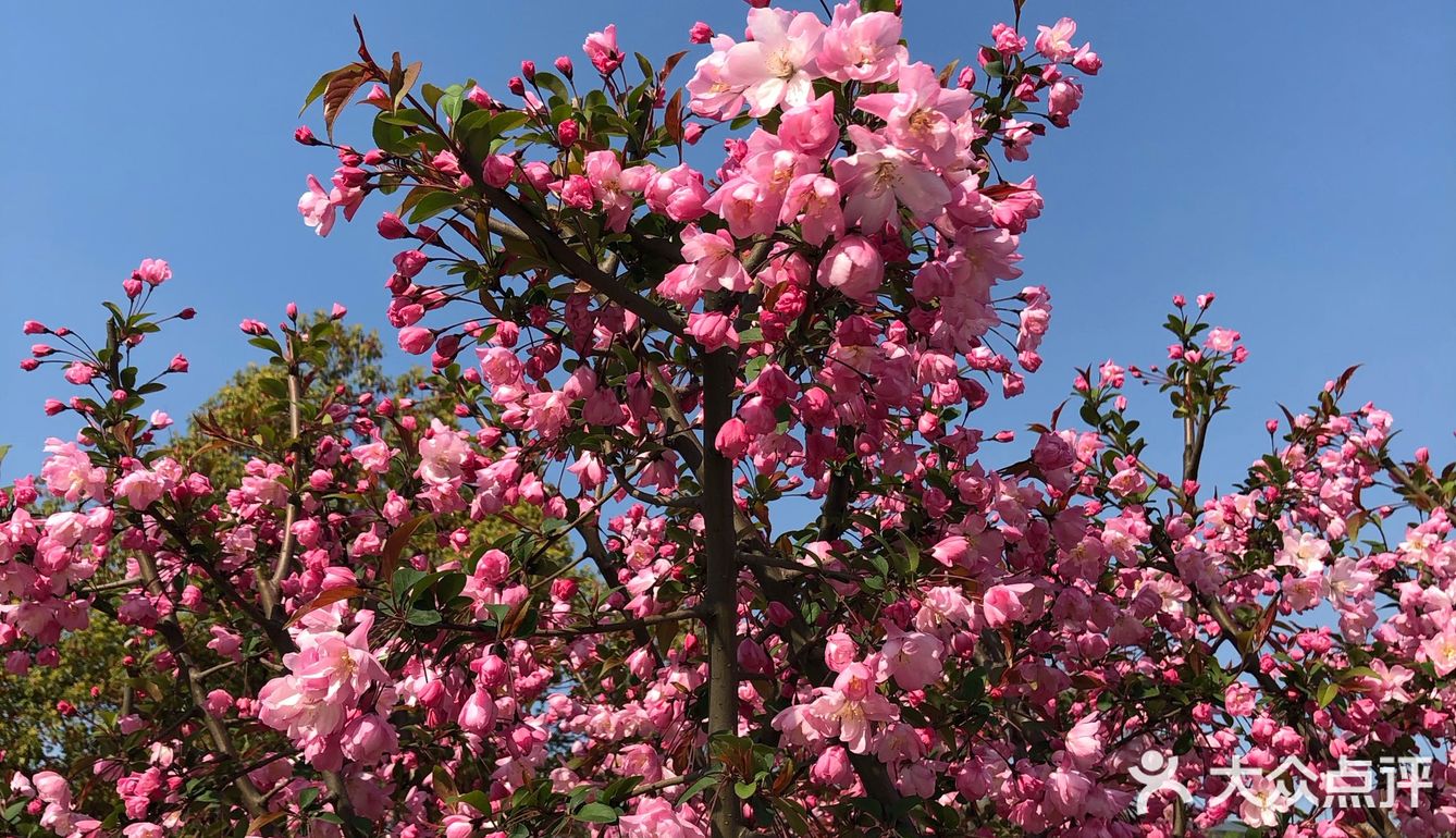 同济🌸