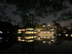 -荔湾湖公园