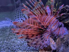 -海合安天津极地海洋公园