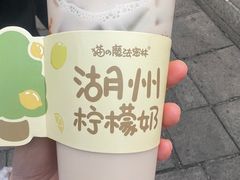 -猫的魔法密林(衣裳街店)