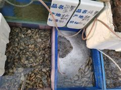 -香满居张记小厨私房菜(青岛站店)