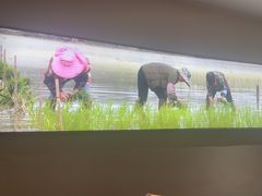 -田园印象·成都土菜院子(华阳店)