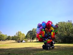 -长白岛森林公园