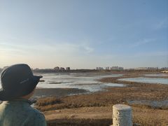 -天津东丽湖风景区