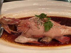 -夜上海(新天地店)