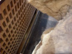 -嘉华鲜花饼·现烤(昆明老街店)