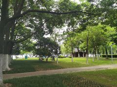 -天鹅湖体育公园