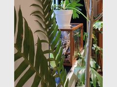 -一尺花园(安和花园店)