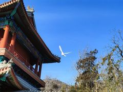 -潭柘寺景区