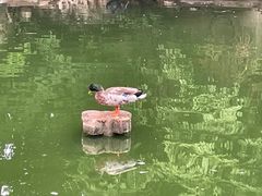 -昆明动物园
