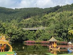 -西双版纳原始森林公园