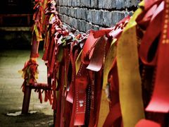 -少华山国家森林公园