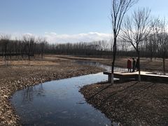 -东郊湿地公园