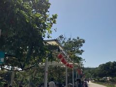 -芦仙山景区-飞越丛林探险乐园