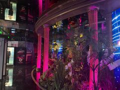 -温莎KTV(珠江路店)