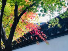 -上海醉白池公园