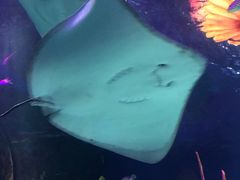 -沈阳海洋探索中心