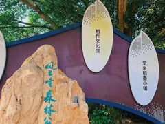 -艾米稻香小镇