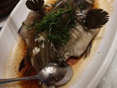 -五谷芳乳鸽王(海景店)