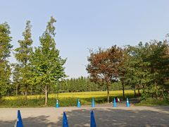 -广富林郊野公园