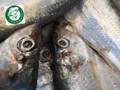 -爷爷的草帽·海鲜馆(孙塘路店)