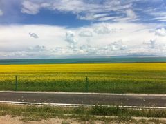 -青海湖国家重点风景名胜区