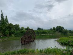 -长田漾湿地公园