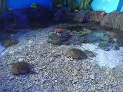 -横店影视城梦幻谷园区