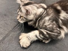 -AMRAP综合体能训练