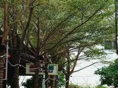 -三亚火车头万人海鲜广场