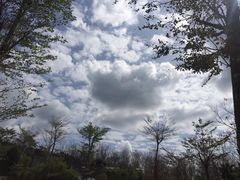 -七仙岭温泉国家森林公园