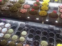 iphone_upload_pic-好久不见网红乐队酒吧(鼓浪屿海底世界店)