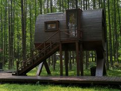 -黄海国家森林公园