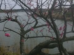 android_upload_pic-上海海湾国家森林公园