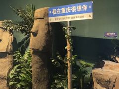 -重庆欢乐海底世界