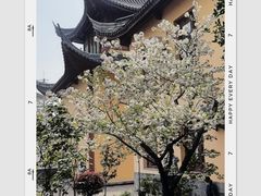 -吴兴寺